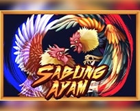 Sabung Ayam